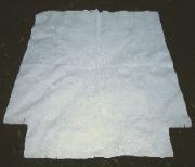 Brides Quilt 19th century White on White